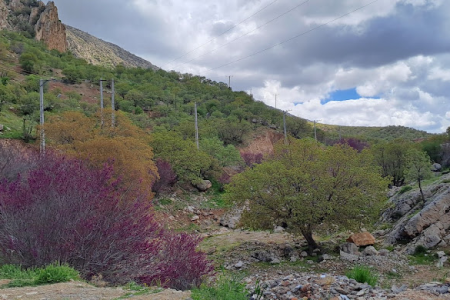 تنگه-ارغوان-ایلام