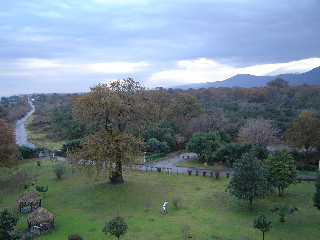 اجاره ویلا و سوئیت در چالوس چالوس - مازندران-راهنمای اجاره ویلا جنگلی در ایران — تجربهای متفاوت در دل طبیعت (ایجاره)