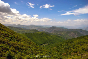 جنگلهای ارسباران