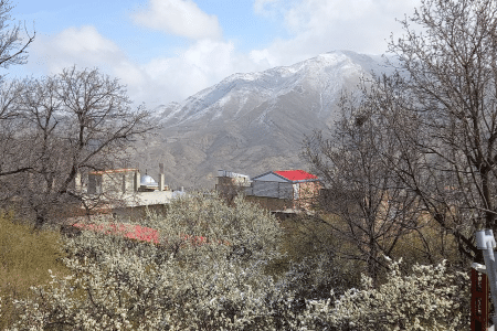 باغ ویلا سهیلیه