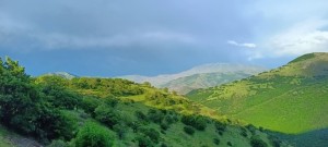 اجاره ویلا شمال. اجاره ویلا کردان. اجاره کلبه جنگلی. اجاره ویلا استخردار. اجاره ویلا رامسر. اجاره ویلا و سوئیت در کرداناجاره ویلا ساحلی. اجاره سوئیت