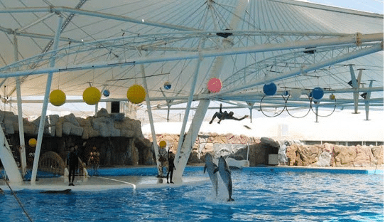 پارک دلفین کیش