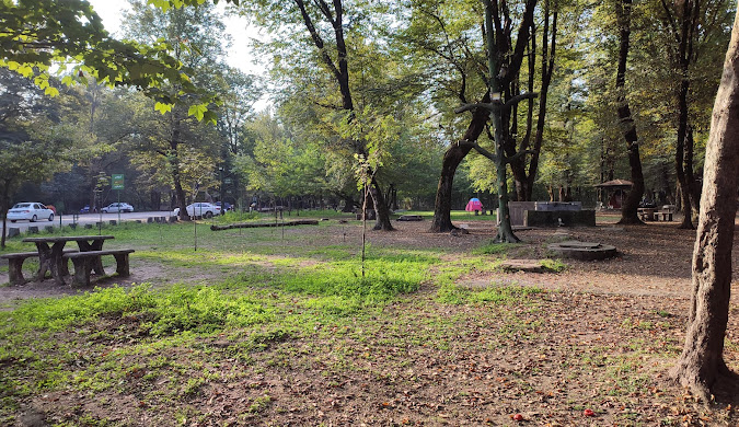 جنگل دالخانی رامسر | دالان بهشت در دل طبیعت شمال