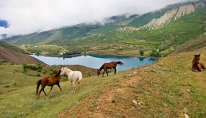 مازندران-طبیعت