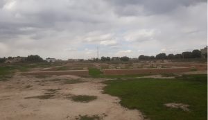 بقایای کاخ شاوور (اردشیر دوم)2 شوش-خوزستان