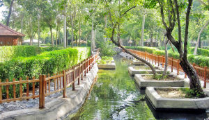 بوستان پردیس2 شاندیز جاهای دیدنی شاندیز