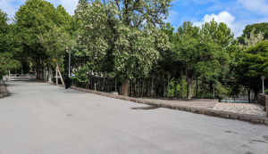 بوستان کوهستانی شاندیز جاهای دیدنی شاندیز