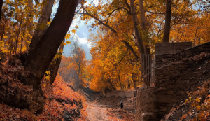 جاهای دیدنی شاندیز دره خوشرود شاندیز