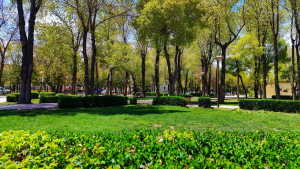 جاهای دیدنی شهرکرد جاهای دیدنی شهرکرد؛ سفر به بام ایران و طبیعت خنک زاگرس | ایجاره