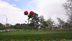 جاهای دیدنی شاهرود؛ از جنگلهای هیرکانی تا سکوت کویر | ایجاره3