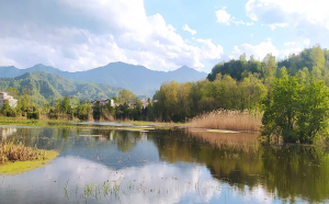 اجاره ویلا و سوئیت در املش-جنگلهای اطراف املش- پارک آبی زربیجار