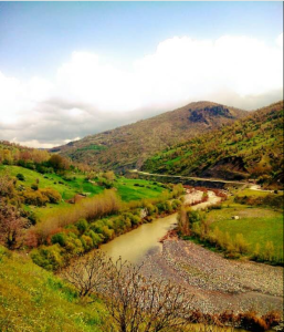 اجاره ویلا و سوئیت دربانه- رود بلکه بانه