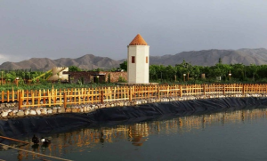 جاهای دیدنی شاهرود؛ از جنگلهای هیرکانی تا سکوت کویر | ایجاره