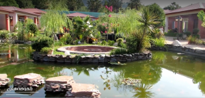 جاهای دیدنی لاهیجان؛ ترکیب چای، طبیعت و زندگی آرام شمال - ایجاره