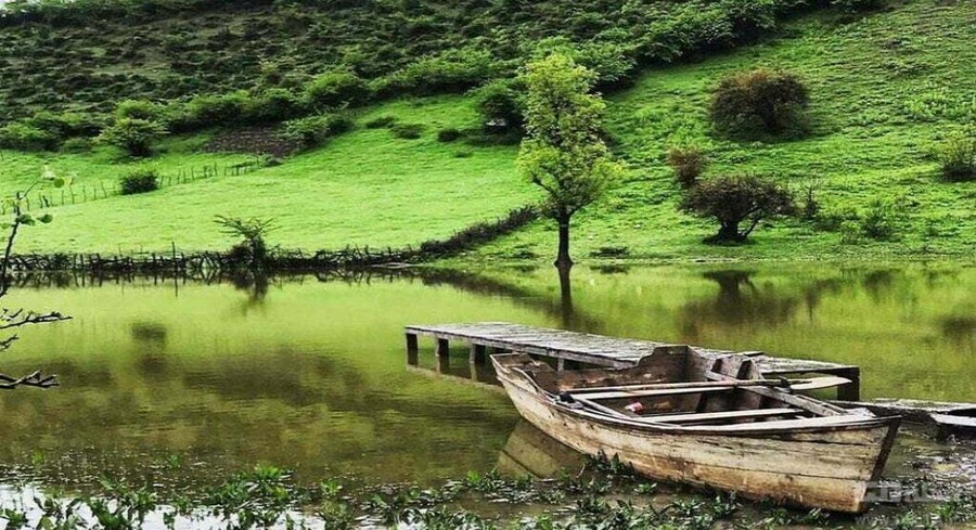 جنگل کوتنا از جاهای گردشگری قائم شهر