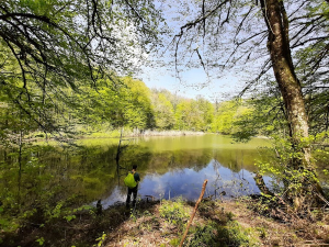 جاهای دیدنی قائمشهر؛ تجربه آرام طبیعت و زندگی شمالی | ایجاره1