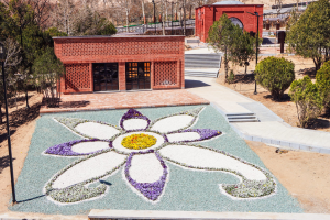 جاهای دیدنی شاهرود؛ از جنگلهای هیرکانی تا سکوت کویر | ایجاره