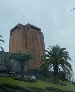 جاهای دیدنی لاهیجان؛ ترکیب چای، طبیعت و زندگی آرام شمال - ایجاره