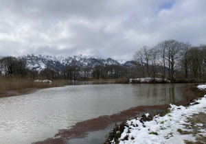 جاهای دیدنی لاهیجان؛ ترکیب چای، طبیعت و زندگی آرام شمال - ایجاره