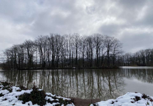 جاهای دیدنی لاهیجان؛ ترکیب چای، طبیعت و زندگی آرام شمال - ایجاره